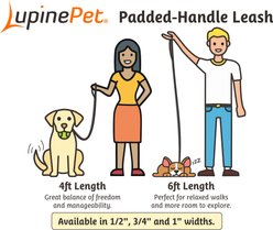 LupinePet Nature Inspired Original Design Padded Handle Nylon Small Dog & Cat Leash, High Country, Regular: 6-ft long, 1/2-in wide slide 2 of 5