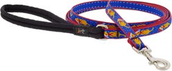 LupinePet Snow Pup Design Padded Handle Small Dog & Cat Leash, 4-ft long, 1/2-in wide