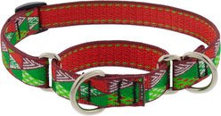 LupinePet Christmas Tree Design Martingale Slip-on Dog Collar, Small: 10 to 14-in neck, 3/4-in wide