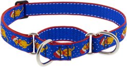 LupinePet Snow Pup Design Martingale Training Dog Collar, Large: 15 to 22-in neck, 1-in wide