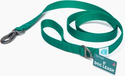 Embark Harness Co. Adventure Dog Leash, Green, 5-ft