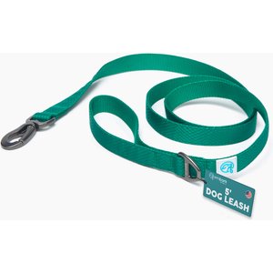 Embark Harness Co. Adventure Dog Leash, Green, 5-ft