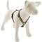 Show in main carousel: LupinePet Christmas Tree Design Dog Harness, 14 to 24 in chest, 3/4-in wide slide 1 of 6
