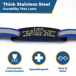 GoTags Personalized Breakaway Reflective Cat Collar with Engraved Tag & Bell, Orange/Black, 8 to 12-in neck, 3/8-in wide slide 2 of 6