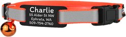 GoTags Personalized Breakaway Reflective Cat Collar with Engraved Tag & Bell, Orange/Black, 8 to 12-in neck, 3/8-in wide