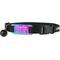 Show in main carousel: GoTags Personalized Breakaway Cat Collar with Engraved Tag & Bell, Black/Rainbow, 8 to 12-in neck, 3/8-in wide slide 1 of 8