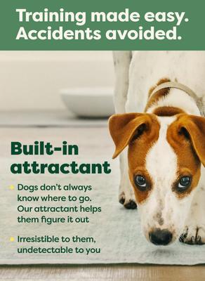 Show full view: Earth Rated Max Absorbency Dog Pee Pads, Large: 22 x 23-in, Unscented, 75 count slide 6 of 11