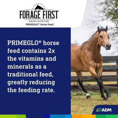 Show full view: ADM PRIMEGLO Forage First Premium Nutrition Mature Horse Feed, 50-lb bag slide 5 of 9