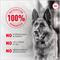 Show in main carousel: Royal Canin Fresh Health Nutrition Adult Dog Food, 8.8-oz pouch, pack of 7 slide 8 of 11