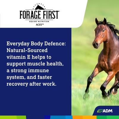Show full view: ADM Forage First ACES Pellet Horse Supplement, 25-lb slide 7 of 9