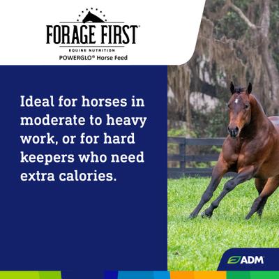 Show full view: ADM POWERGLO Forage First Premium Nutrition Performance Horse Feed, 50-lb bag slide 5 of 8
