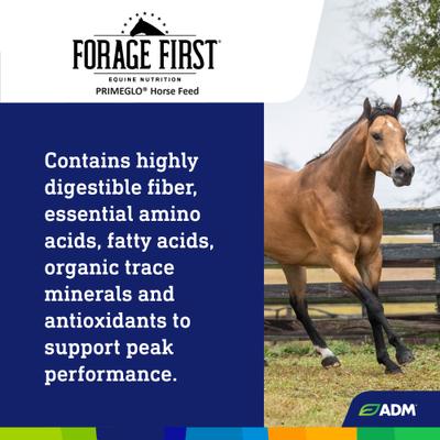 Show full view: ADM PRIMEGLO Forage First Premium Nutrition Mature Horse Feed, 50-lb bag slide 6 of 9