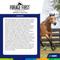 Show in main carousel: ADM PRIMEGLO Forage First Premium Nutrition Mature Horse Feed, 50-lb bag slide 3 of 9