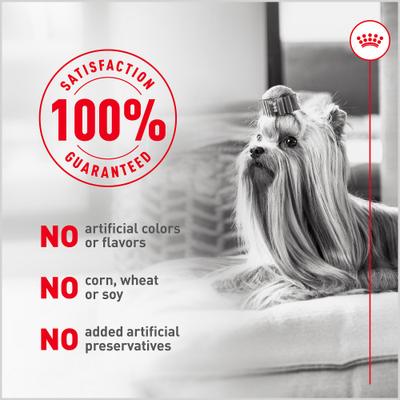 Show full view: Royal Canin Fresh Health Nutrition Senior Dog Food, 14.1-oz pouch, pack of 7 slide 9 of 12