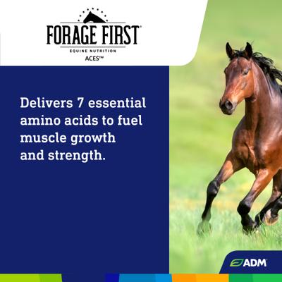 Show full view: ADM Forage First ACES Pellet Horse Supplement, 25-lb slide 6 of 9