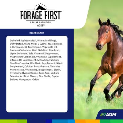Show full view: ADM Forage First ACES Pellet Horse Supplement, 25-lb slide 3 of 9