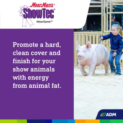 Show full view: ADM MoorMan's ShowTec MoorGame Swine, Goat, Sheep, & Cattle Powder Supplement, 18-lb pail slide 7 of 9
