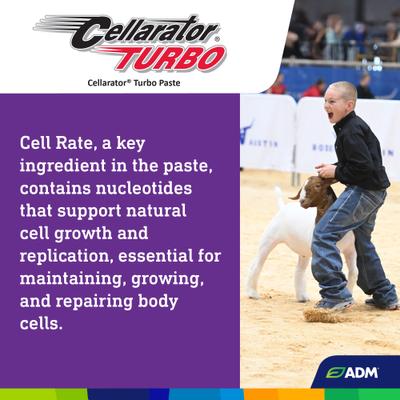 Show full view: ADM Cellarator Turbo Livestock Supplement Paste, 80-cc tube slide 5 of 8