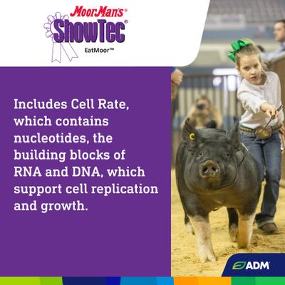 Show full view: ADM MoorMan's ShowTec EatMoor Swine, Goat, Sheep, & Cattle Powder Supplement, 3.75-lb bag slide 5 of 8