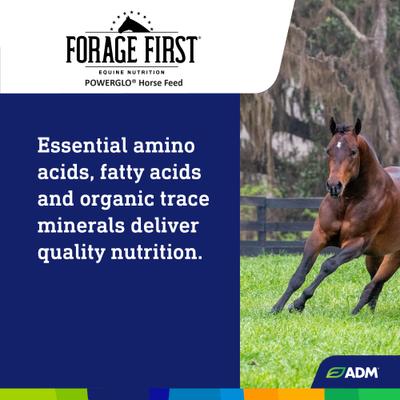 Show full view: ADM POWERGLO Forage First Premium Nutrition Performance Horse Feed, 50-lb bag slide 7 of 8