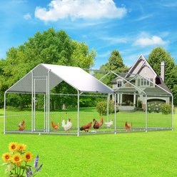 Hittite Metal Outdoor Chicken Coop with Waterproof & Anti-UV Cover, Large: 19.19 x 9.84 x 6.56-ft