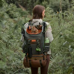 Petsfit WILDPATH Multi-Compartment Storage Hiking Airline Approved Backpack Dog & Cat Carrier, Green, 13.4 x 10.6 x 19.1-in slide 2 of 8