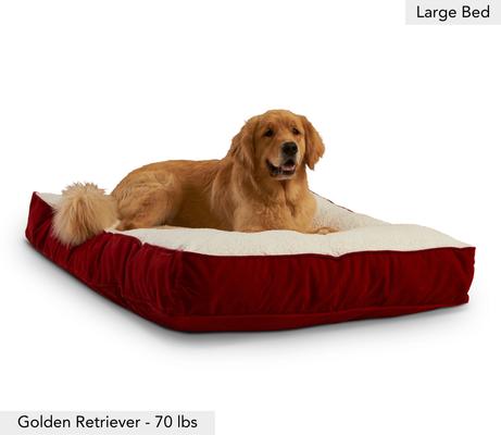Show full view: Happy Hounds Bailey Rectangle Pillow Dog Bed with Removable Cover, Crimson, Large slide 3 of 8