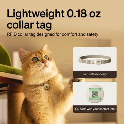 Show full view: Petlibro One RFID Automatic WiFi App Controlled Cat Feeder with Collar Tag, 3-L, Black slide 8 of 10