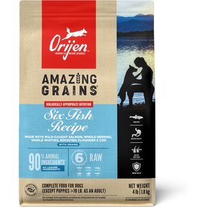 ORIJEN Amazing Grains Six Fish High-Protein Dry Dog Food, 4-lb bag