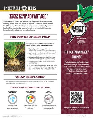 Show full view: Unbeetable Feeds Balance Multi-Purpose Horse Feed, 50-lb bag slide 5 of 8