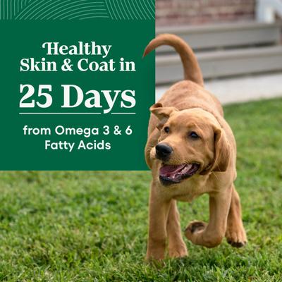 Show full view: Nutro Natural Choice Puppy Large Breed Chicken & Brown Rice Recipe Dry Dog Food, 30-lb bag slide 5 of 11