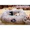 Show in main carousel: Kylinsure 2-in-1 Peekaboo Cave Donut Cat Tunnel Bed with Center Mat, X-Large, Brown slide 2 of 8