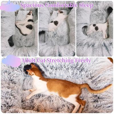 Show full view: Kylinsure 2-in-1 Peekaboo Cave Donut Cat Tunnel Bed with Center Mat, X-Large, Grey slide 4 of 8