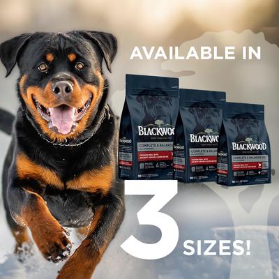 Show full view: Blackwood Complete & Balanced Diet Adult Chicken Meal with Ancient Grains & Corn Recipe Dry Dog Food, 48-lb bundle slide 8 of 10