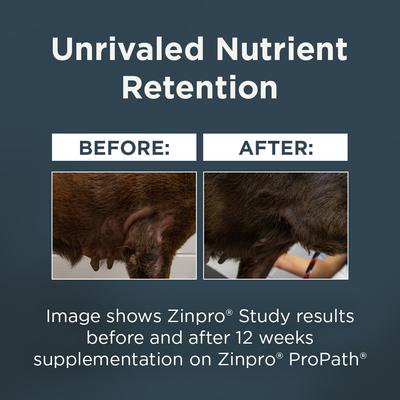 Show full view: Blackwood Complete & Balanced Diet Adult Chicken Meal with Ancient Grains & Corn Recipe Dry Dog Food, 48-lb bundle slide 7 of 10