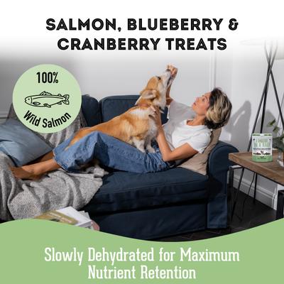 Show full view: The Granville Island Pet Treatery Salmon, Blueberry, & Cranberry Grain-Free Dehydrated Dog & Cat Treats, 2.82-oz bag slide 4 of 9