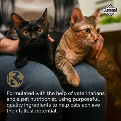 Show full view: Diamond Maintenance 30/15 for Moderately Active Adult Cats Dry Food, 40-lb bag slide 6 of 11