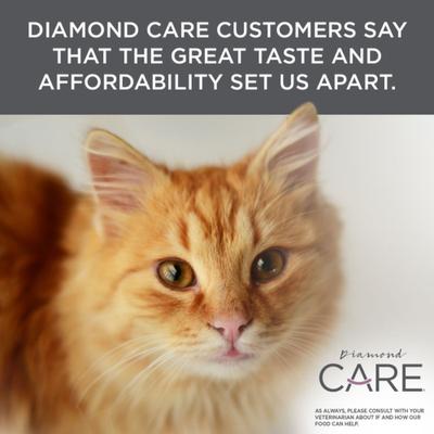 Show full view: Diamond Care Urinary Support Formula Adult Dry Cat Food, 6-lb bag slide 7 of 10