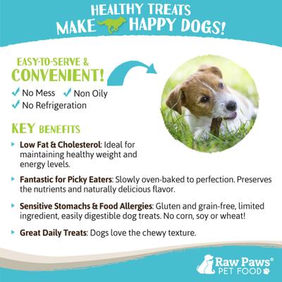 Show full view: Raw Paws Wild-Caught Venison Dog Treats, 6-oz bag slide 7 of 8