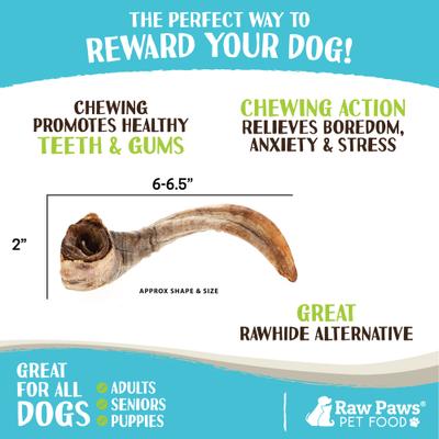 Show full view: Raw Paws Lamb Horns Dog Chew, Large, 2 count slide 4 of 7