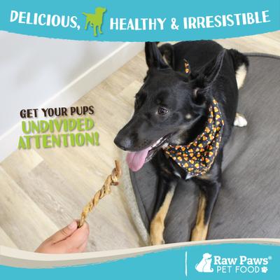 Show full view: Raw Paws 6 to 9-in Lamb Pizzle Twists Dog Chew, 10 count slide 6 of 7