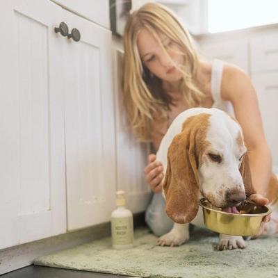 Show full view: Lanana Creek Farms Mouth Wash & Refill Dental Water Additive for Dogs, 7.7-fl oz & 500-mL bottles slide 6 of 6