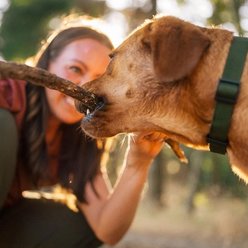 Lanana Creek Farms Zoom Boost Electrolyte Liquid Supplement & Refill for Dogs, 7.7-fl oz & 500-mL bottles slide 2 of 6