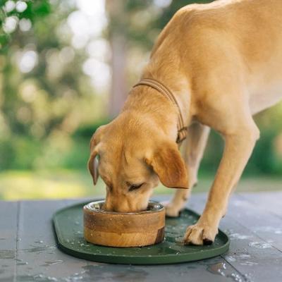 Show full view: Lanana Creek Farms Zoom Boost Electrolyte Liquid Supplement & Refill for Dogs, 7.7-fl oz & 500-mL bottles slide 7 of 7