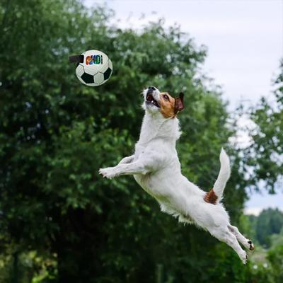 Show full view: Littlearth FIFA World Cup 2026 Tough Dog Soccer Ball Toy, 5.73-in slide 3 of 7