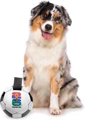 Show full view: Littlearth FIFA World Cup 2026 Tough Dog Soccer Ball Toy, 5.73-in slide 2 of 7