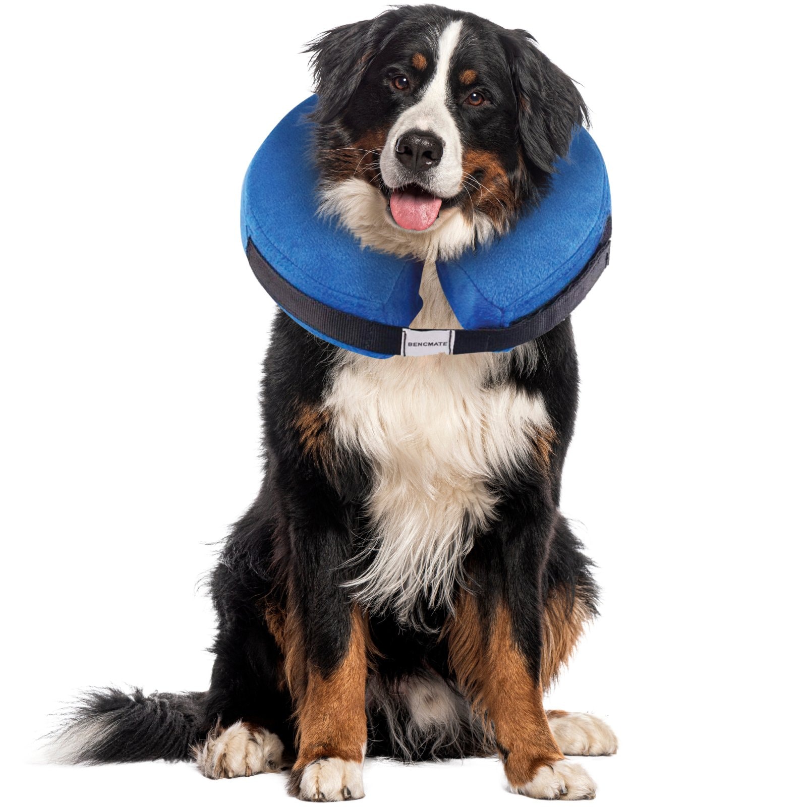 Bencmate Protective Inflatable Soft Pet Recovery Does Not Block Vision Recovery Collar For Dogs & Cats, Blue, Large