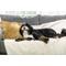 Show in main carousel: Magic Fabric Luxurious Odor Resistant Dog & Cat Furniture Cover, Custard, Large slide 4 of 6