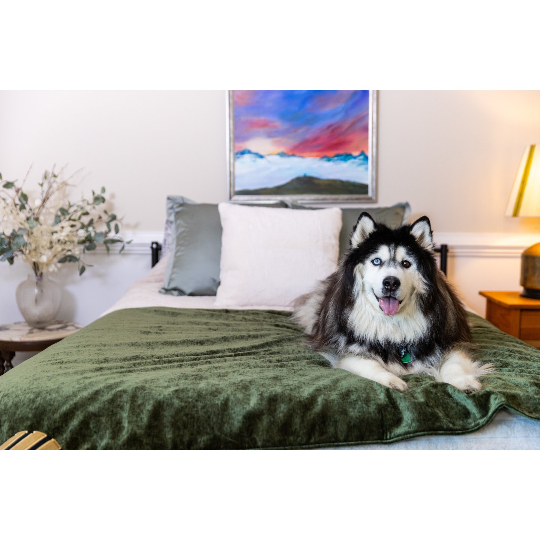 Magic Fabric Waterproof Odor Resistant Dog & Cat Furniture Cover, Moss, Jumbo