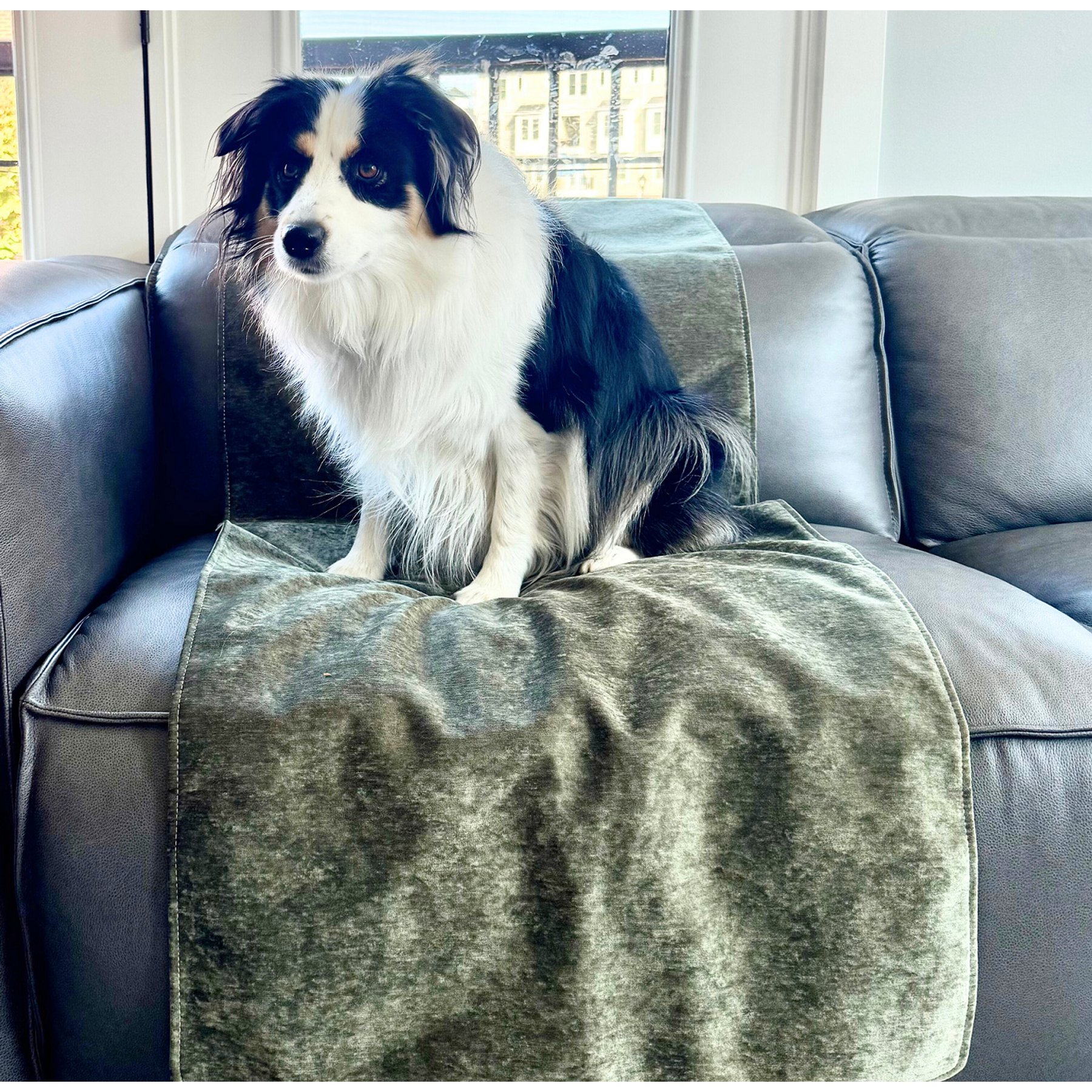 Magic Fabric Waterproof Odor Resistant Dog & Cat Furniture Cover, Moss, Medium